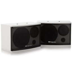 金正SM 980蓝牙音箱 小巧身躯演绎专业K歌与会议全能装备